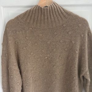 Everlane Alpaca Pom Pom Turtleneck Sweater